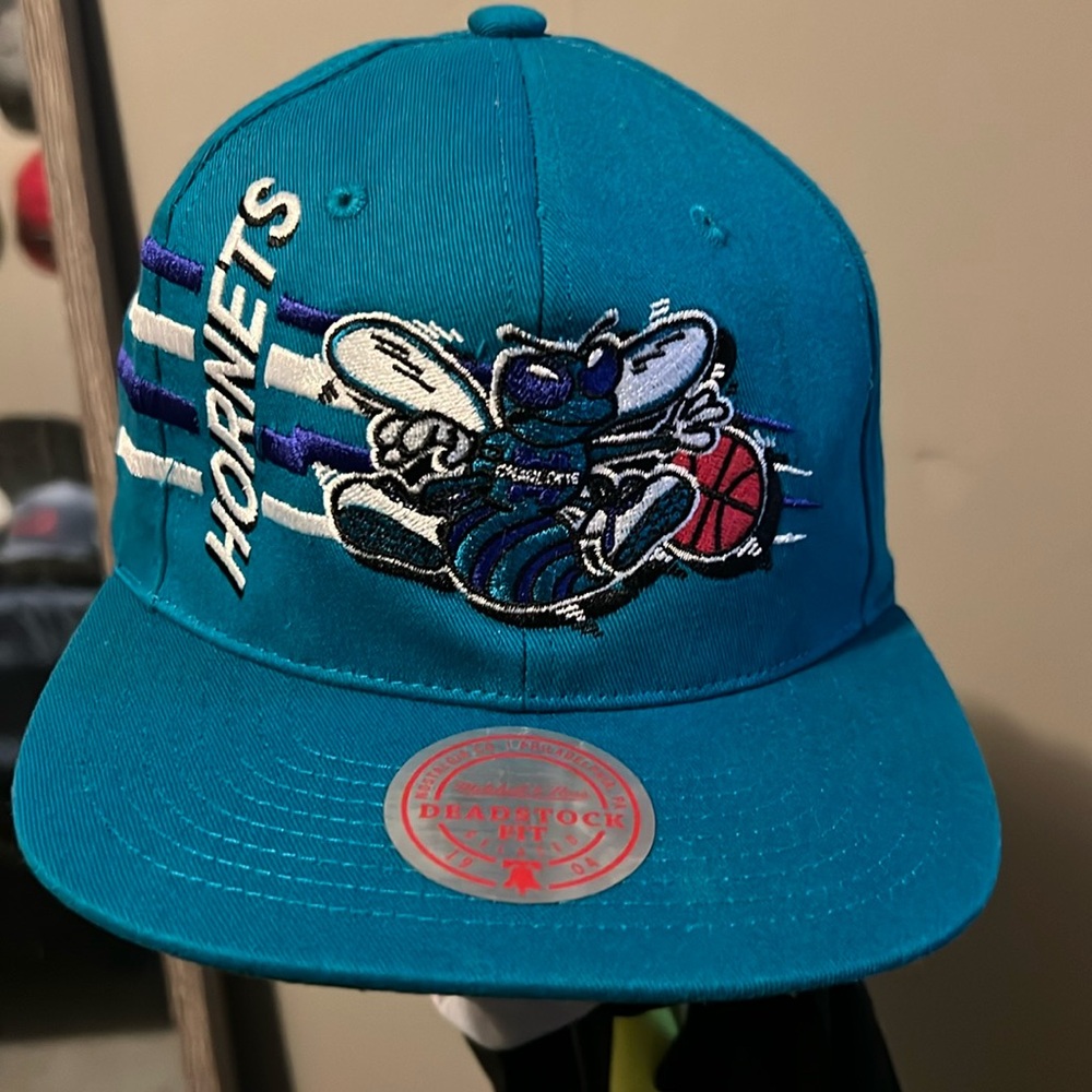 Hornets Snap Back